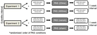 Paired Associative Stimulation of the Temporal Cortex: Effects on the Auditory Steady-State Response